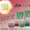 کود پودری NPK