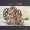 آلبوم کاغذ دیواری لئوپارد LEOPARD