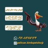 فروش پرنده