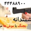 سمپاشی بی برو برگرد سوسک و موش
