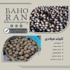 گلوله فولادی درجه یک با بهترین کیفیت و قیمت