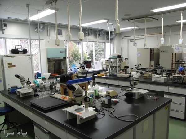تجهیز کامل آزمایشگاه خشکبار ادویه وحبوبات لقمان پژوهش بهینه