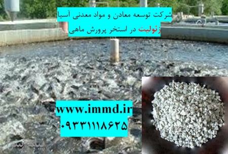 فروش زئولیت در بستر استخرپرورش ماهی