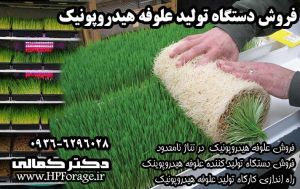 فروش علوفه هیدروپونیک و دستگاه تولید علوفه هیدروپونیک دکتر کمالی