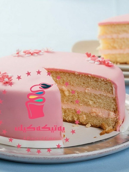 چیزکیک شمال تهران