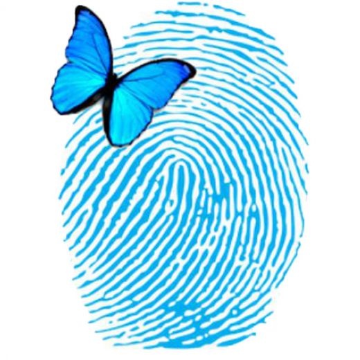 شرکت دیجیتال مارکتینگ تاچ بیز . Touchbiz.biz