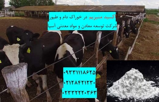 فروش اکسیدمنیزیم در خوراک دام و طیور