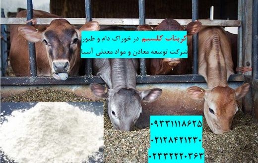 فروش کربنات کلسیم در تهیه خوراک دام و طیور