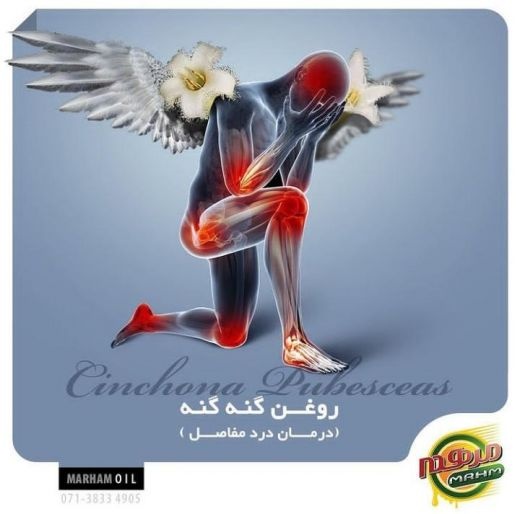 روغن گیری در شیراز