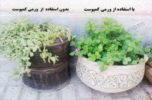 تولید کننده کود ورمی کمپوست
