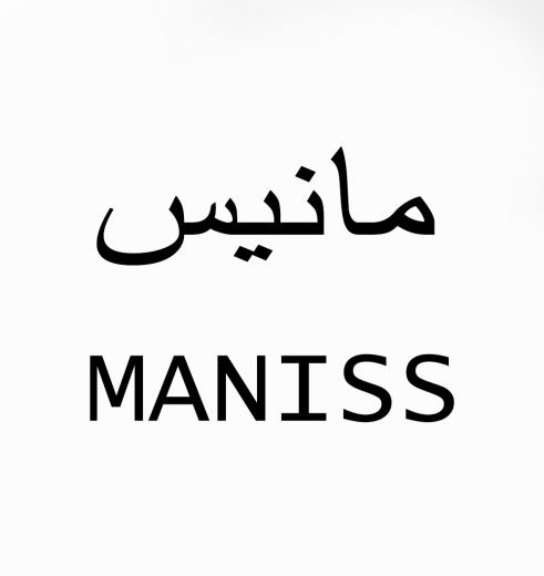 شرکت کاغذ دیواری مانیس MANISS