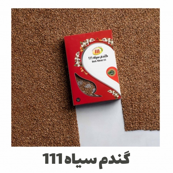 گندم سیاه طبیعی و ارگانیک | منبع غنی فیبر و پروتئی
