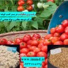 فروش پرلیت و ورمیکولیت بستر هیدروپونیک